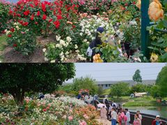 -上海辰山植物园
