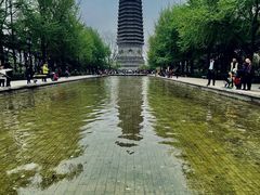 -玲珑塔公园