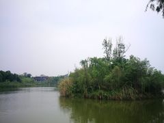 -白鹭湾湿地公园