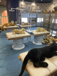 -奈尔宝·儿童乐园·亲子餐厅(鄞州万达店)