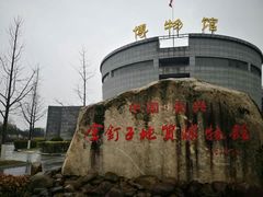 -金钉子远古世界景区