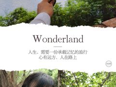 -火炉山森林公园