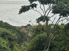 -从前慢海鲜面馆