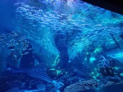 -波塞冬海底世界