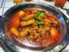 -晓彭肥肠鸡(茂业天地店)