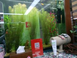 android_upload_pic-小左美发