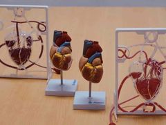 -斯坦星球AI编程·机器人科创·科学实验·信奥·思维·STEM·积木拼搭·竞赛考级(长宁虹桥大融城荟聚中心)