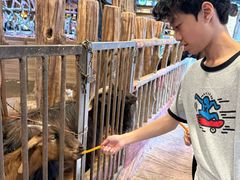 -长鹿旅游休博园