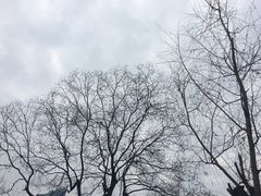 -天鹅湖体育公园
