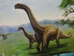 -辽宁古生物博物馆