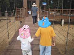 -日照海滨国家森林公园