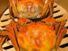 -南京大牌档(中关村领展广场店)