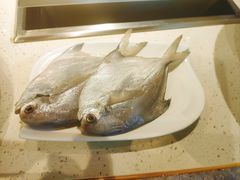-五星桥原切肥牛火锅(怀德桥店)