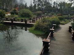 -成飞公园