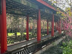-南汇桃花村