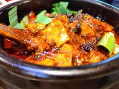 -陈麻婆豆腐(旗舰店)