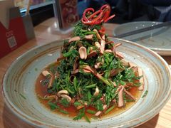 蔬菜-青年公社烤鸭(蜀山万象汇店)