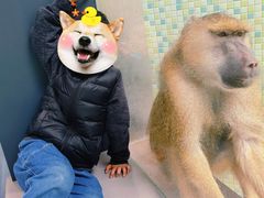 -太原动物园