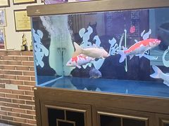 -小城外婆肴私房菜.家宴聚集点(圆明园颐和园·清河上地店)