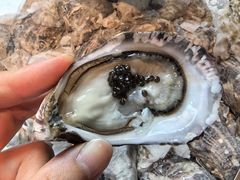 -普朗姆生蚝吧(原建国路店)