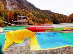 -卧龙自然保护区