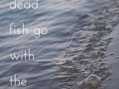 -刘记特色牛杂面·直营店