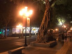-东江海鲜酒家(艺都分店)