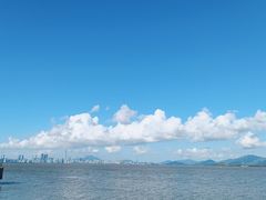 -深圳湾公园-停车场