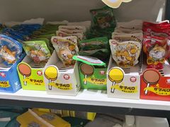 -车接车送·寄养洗护·德文猫舍(大宁店)