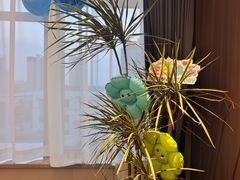 -莆鑫海鲜城(浏河店)