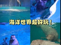 -威海华夏城景区