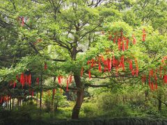 -黄公望隐居地