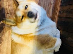 -阿木舂记·特色小吃(平江路店)