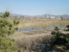 -永定河休闲森林公园