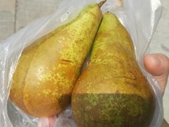 -南丫岛