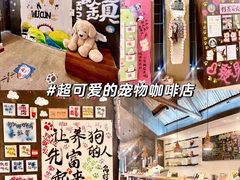 -乌村