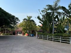 -灵玲国际马戏城