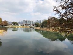 -尚贤河湿地
