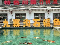-九寨沟石锅鱼(沣峪口二十年店)