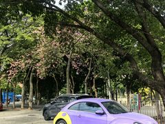 -华南理工大学五山校区-运动场