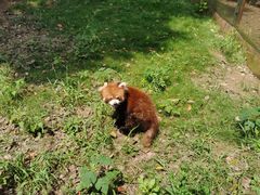 -常州淹城野生动物世界