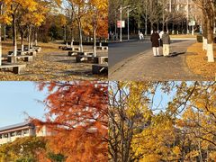 -浙江农林大学(东湖校区)