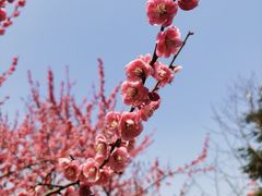 -白塘生态植物园