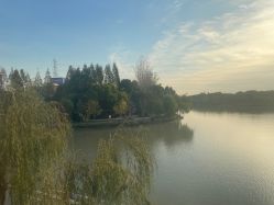 -卓玥国际月子会所(罗山路店)