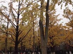 -百林公园-两江幸福广场