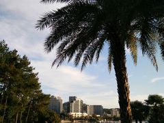 -老淳安—伴山伴湖(千岛湖开元度假村店)