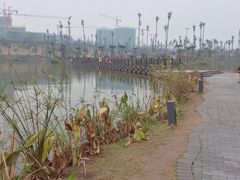 -枫香湖儿童公园