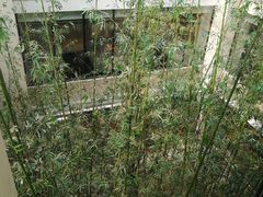 景观位-真爱中国餐馆·年华店(朱雀大街店)