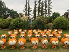 -上海长兴岛郊野公园