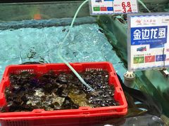 -渔民新村(番禺总店)